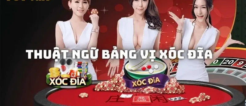 Tìm hiểu về thuật ngữ bảng vị xóc đĩa